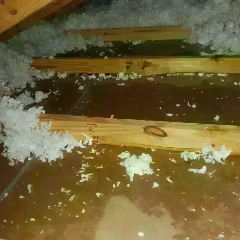 Attic Water Damage in Walling, TN